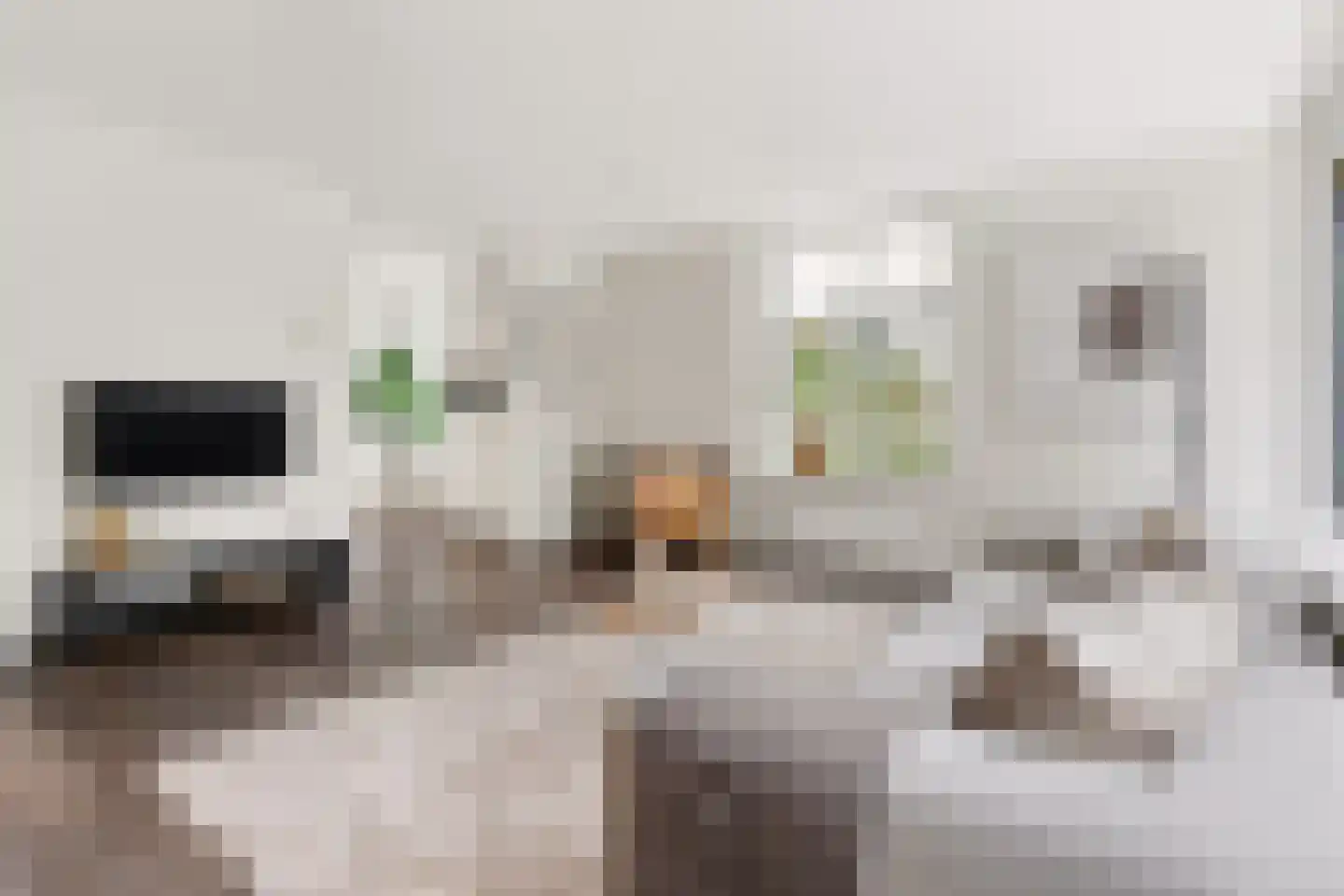 Toutenburgstraat 111 Amsterdam thumbnail 6