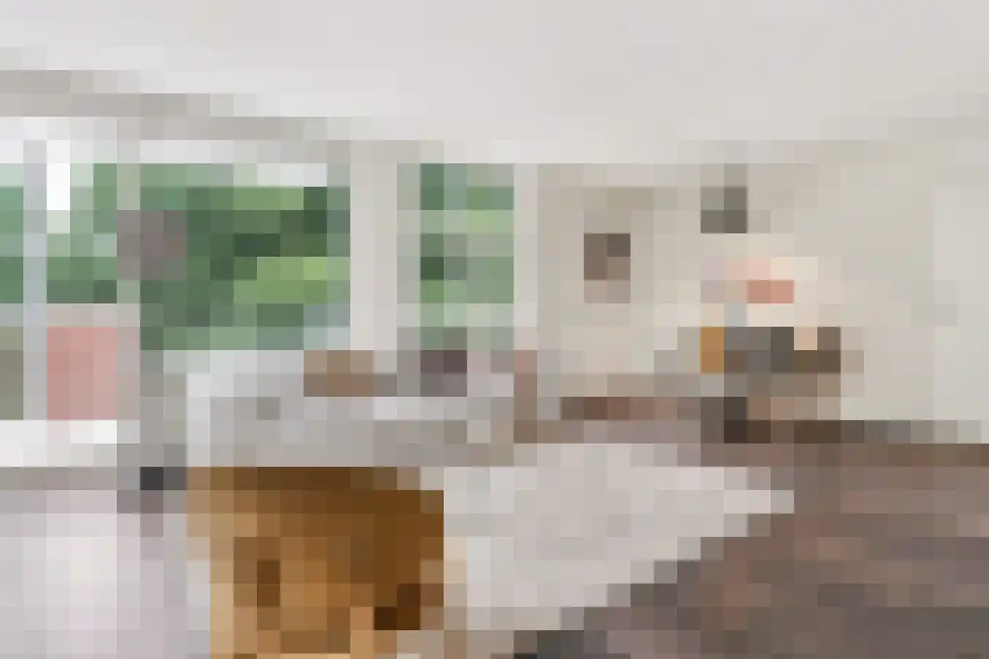 Toutenburgstraat 111 Amsterdam thumbnail 7