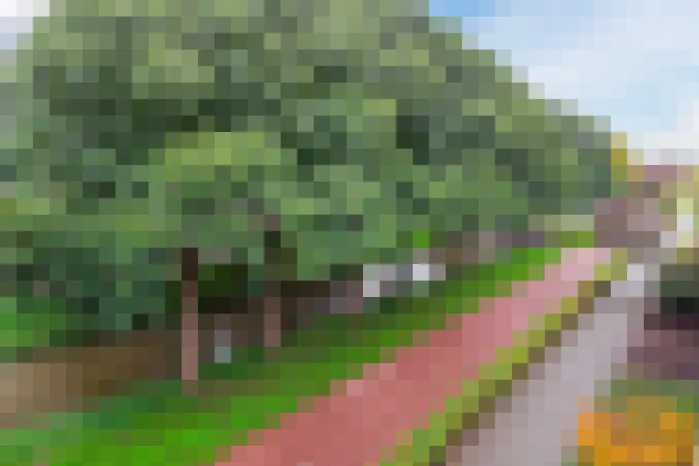 Toutenburgstraat 111 Amsterdam thumbnail 9