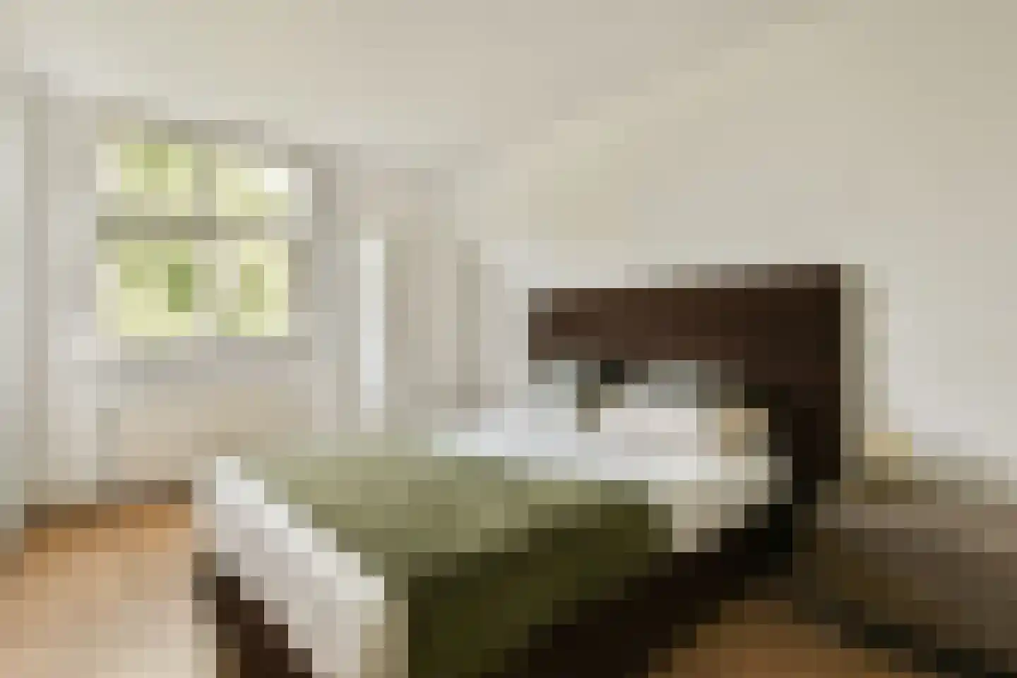 Toutenburgstraat 113 Amsterdam thumbnail 12
