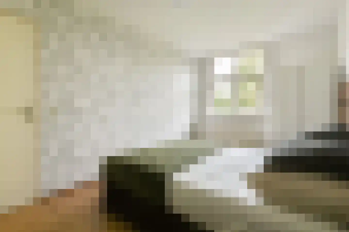 Toutenburgstraat 113 Amsterdam thumbnail 13