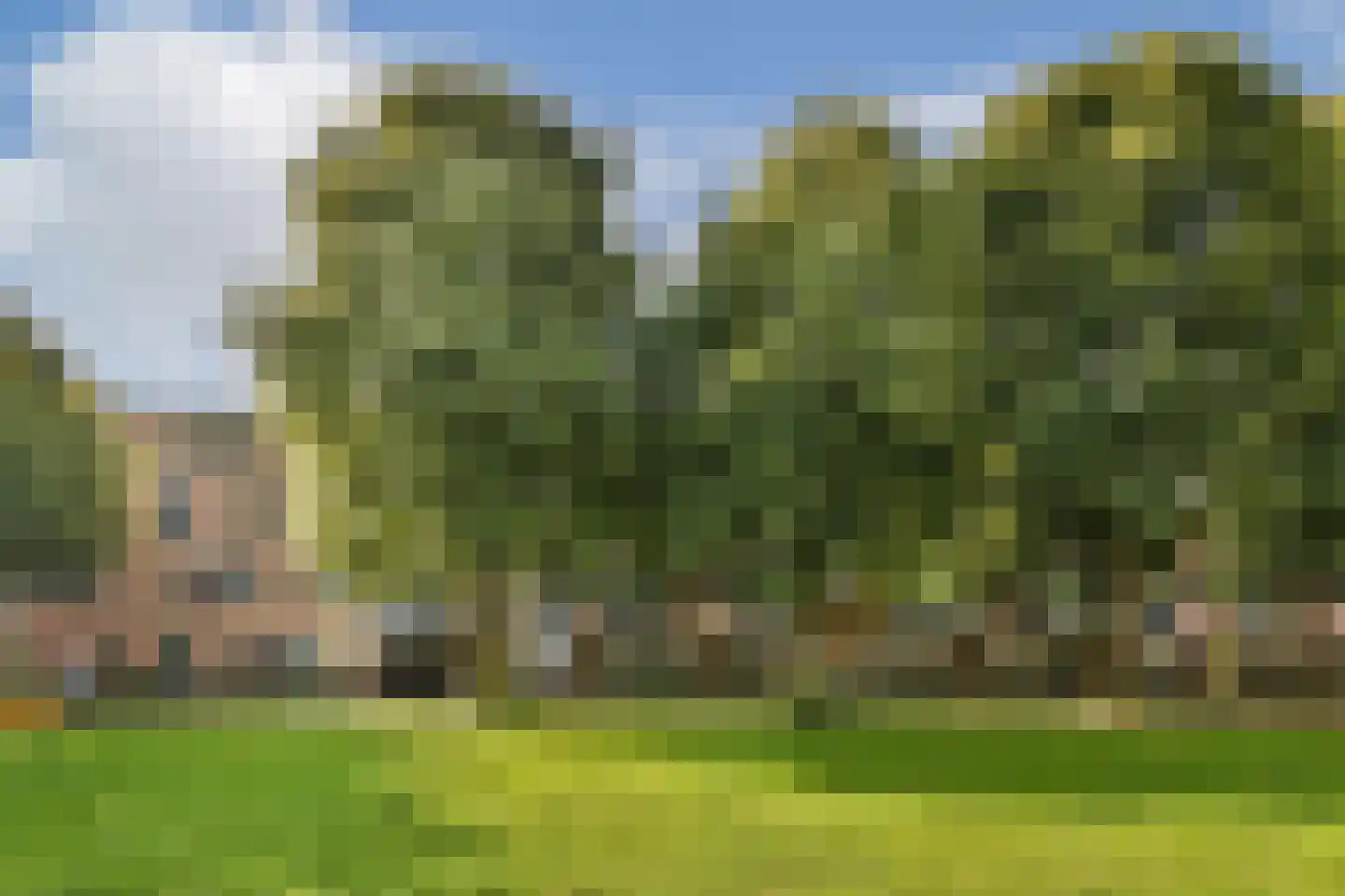 Toutenburgstraat 113 Amsterdam thumbnail 6