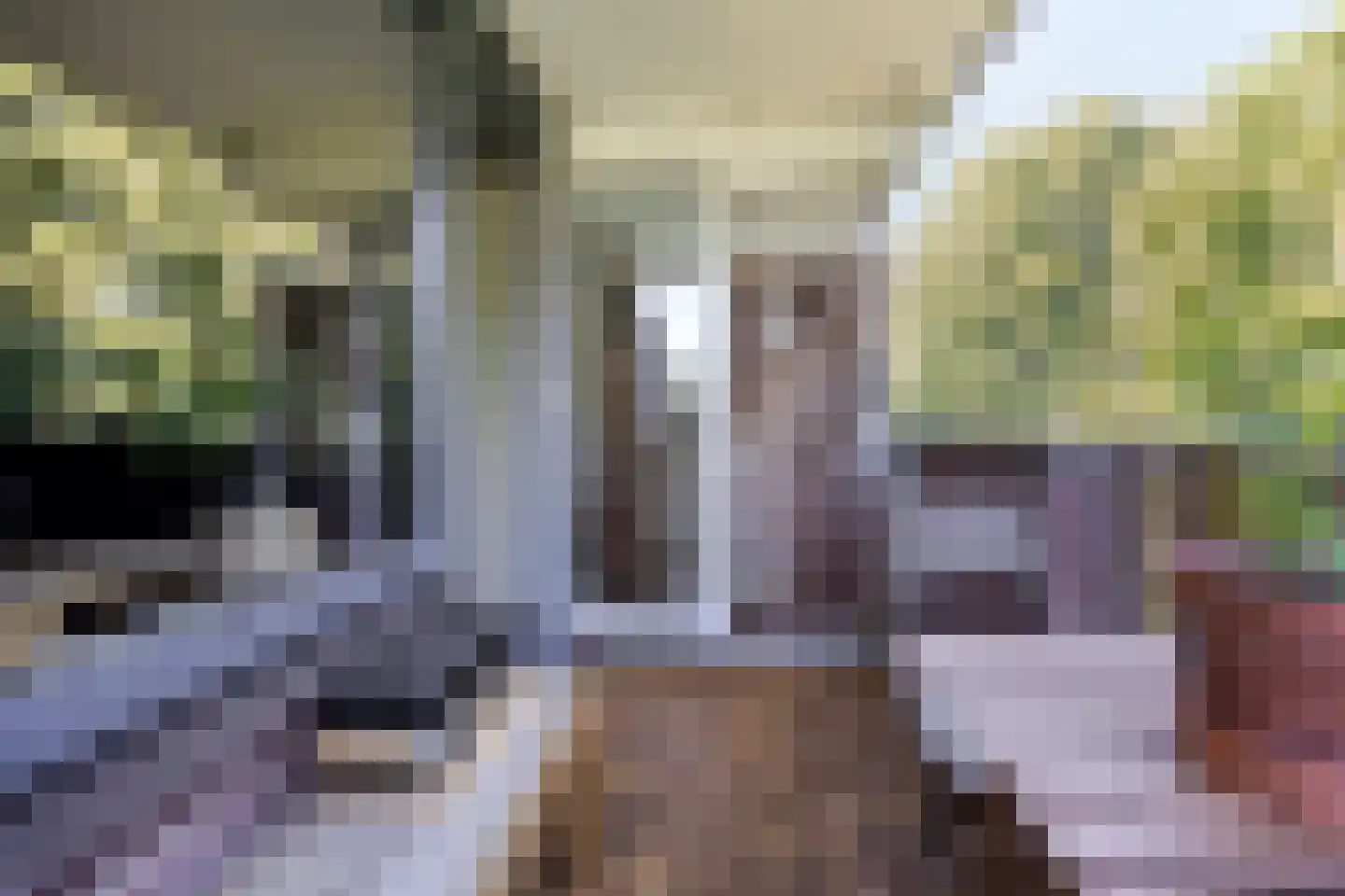 Toutenburgstraat 114 Amsterdam thumbnail 16