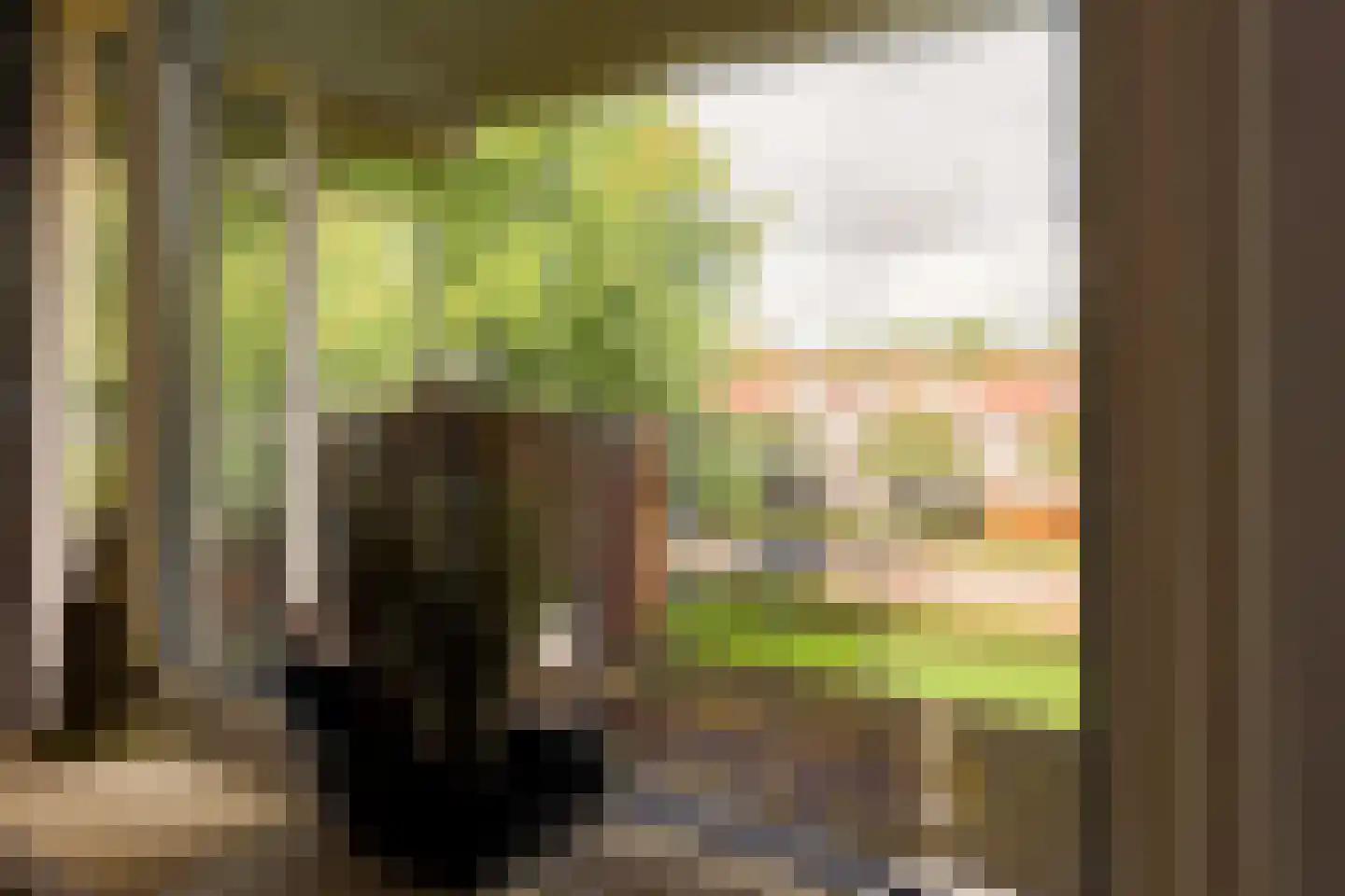 Toutenburgstraat 16 Amsterdam thumbnail 4
