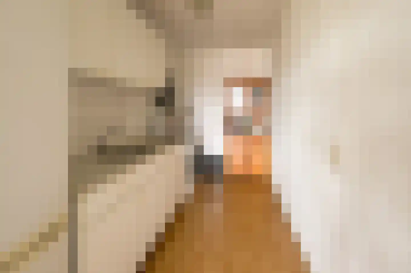 Toutenburgstraat 16 Amsterdam thumbnail 9