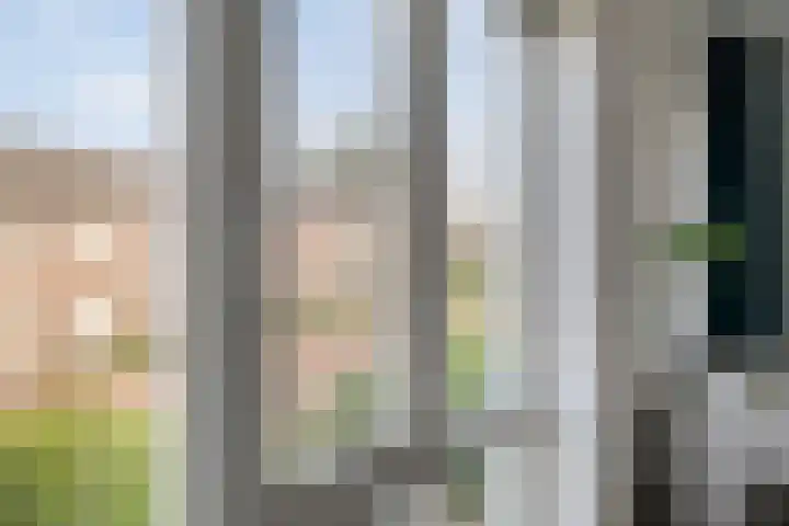 Toutenburgstraat 18 Zwolle thumbnail 22