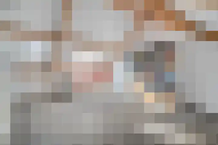 Toutenburgstraat 18 Zwolle thumbnail 25