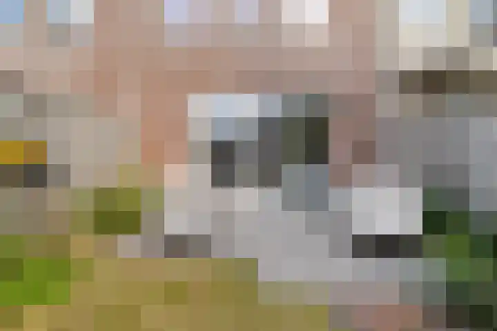 Toutenburgstraat 18 Zwolle thumbnail 31