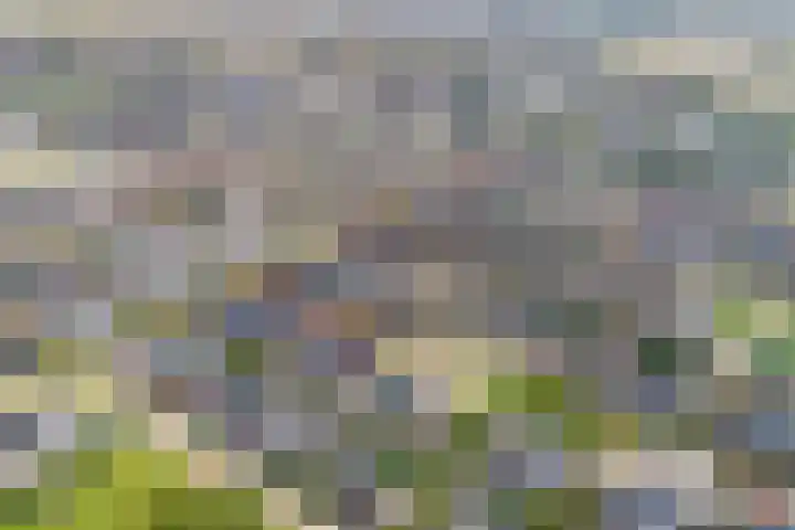 Toutenburgstraat 18 Zwolle thumbnail 33