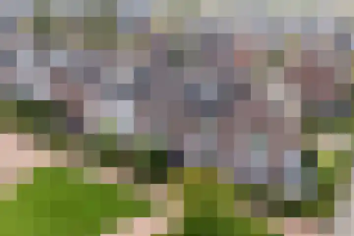 Toutenburgstraat 18 Zwolle thumbnail 35