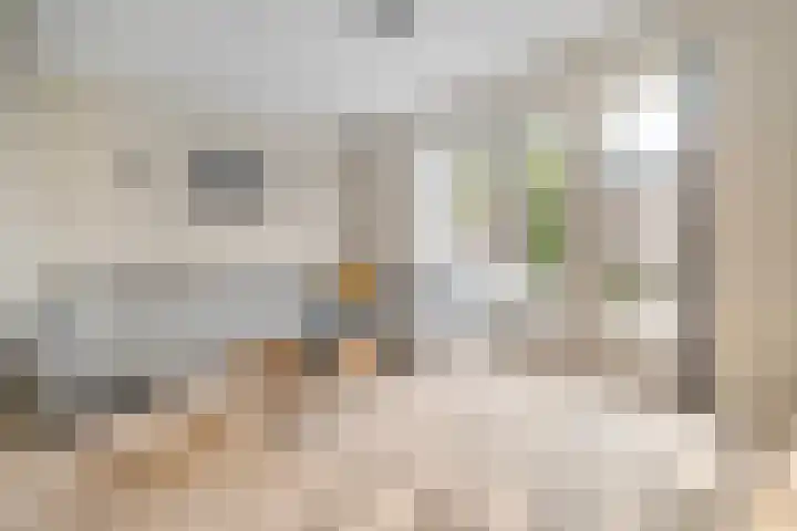 Toutenburgstraat 18 Zwolle thumbnail 5
