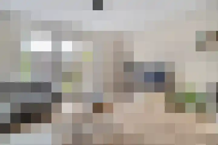 Toutenburgstraat 18 Zwolle thumbnail 6