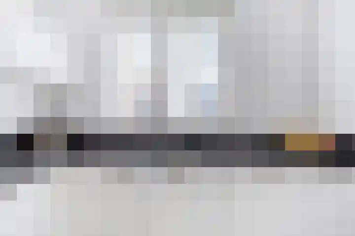 Toutenburgstraat 24 Zwolle thumbnail 20