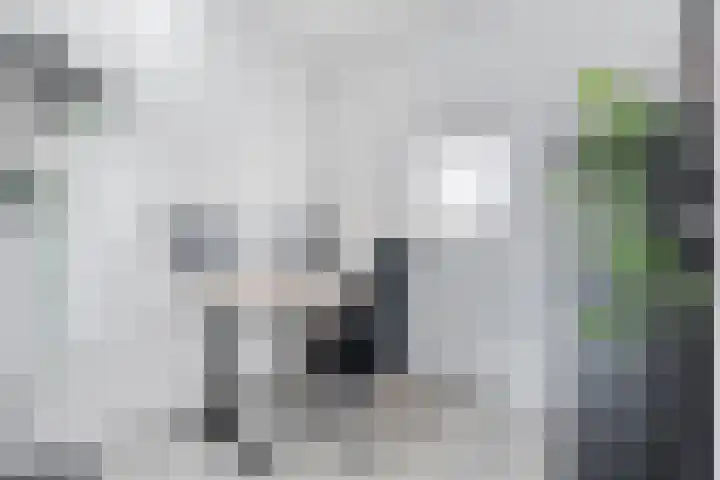 Toutenburgstraat 24 Zwolle thumbnail 26