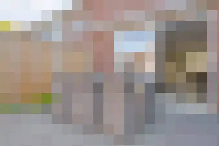 Toutenburgstraat 24 Zwolle thumbnail 37