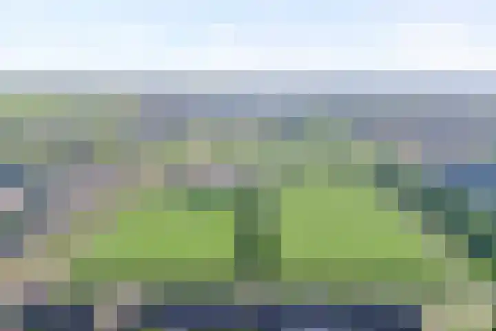 Toutenburgstraat 24 Zwolle thumbnail 4