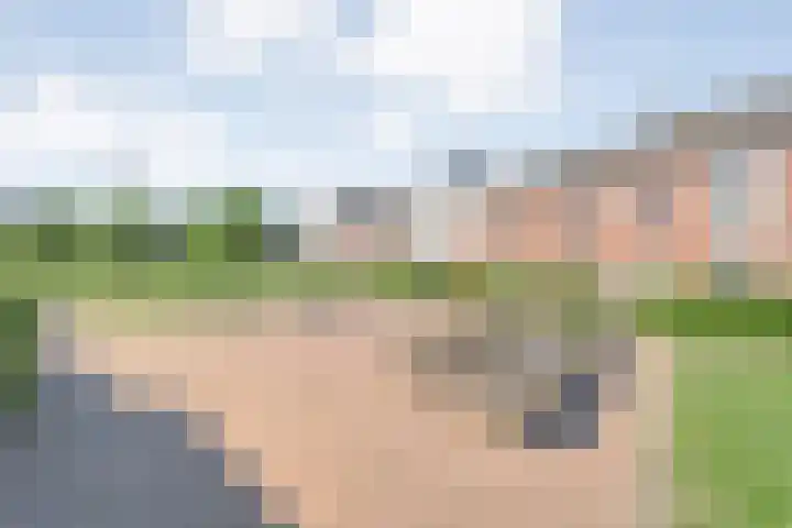 Toutenburgstraat 24 Zwolle thumbnail 8