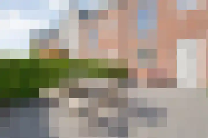 Toutenburgstraat 24 Zwolle thumbnail 9