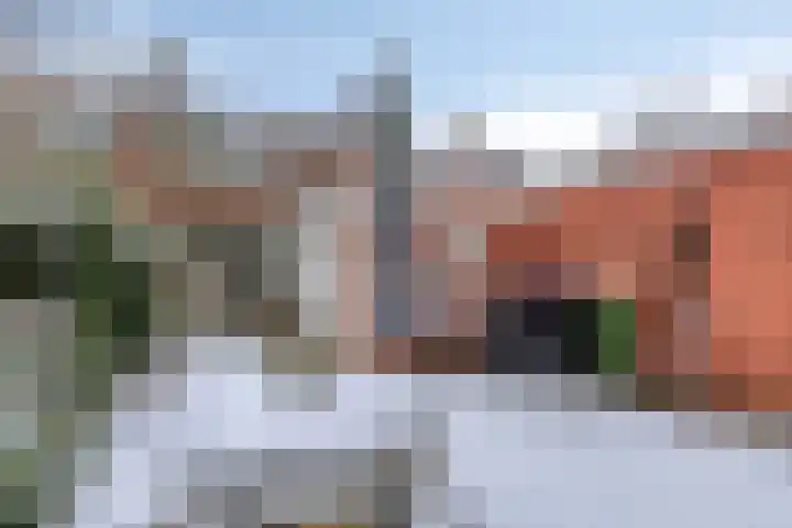 Toutenburgstraat 3 Arnhem thumbnail 30
