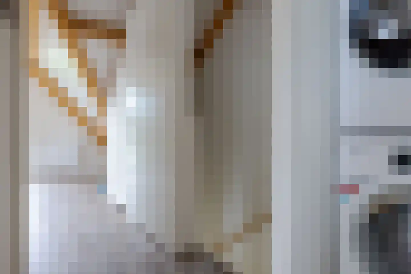 Toutenburgstraat 36 Zwolle thumbnail 41