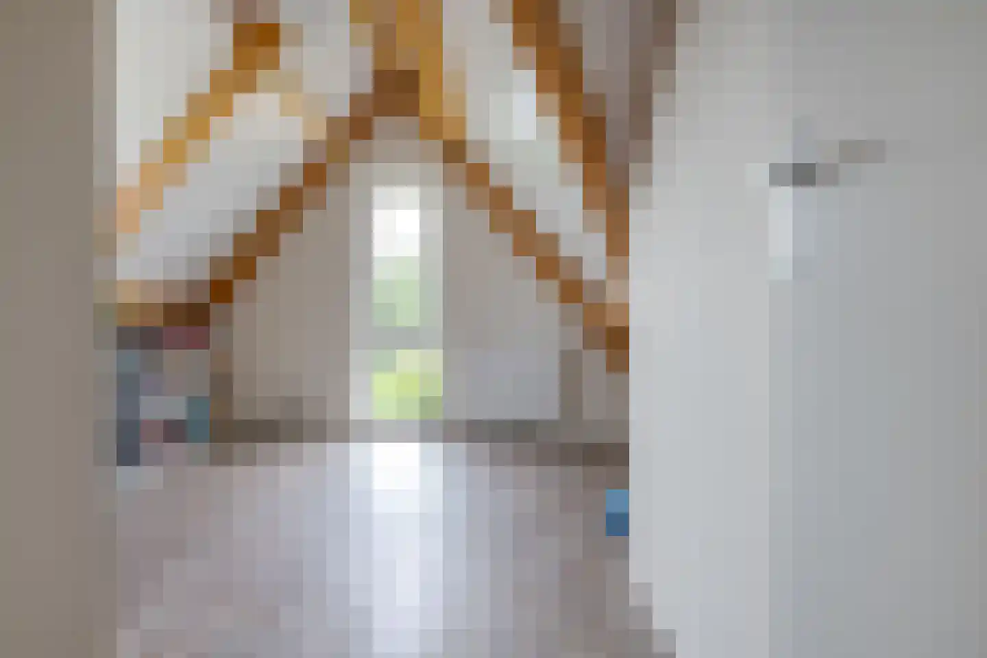 Toutenburgstraat 36 Zwolle thumbnail 43