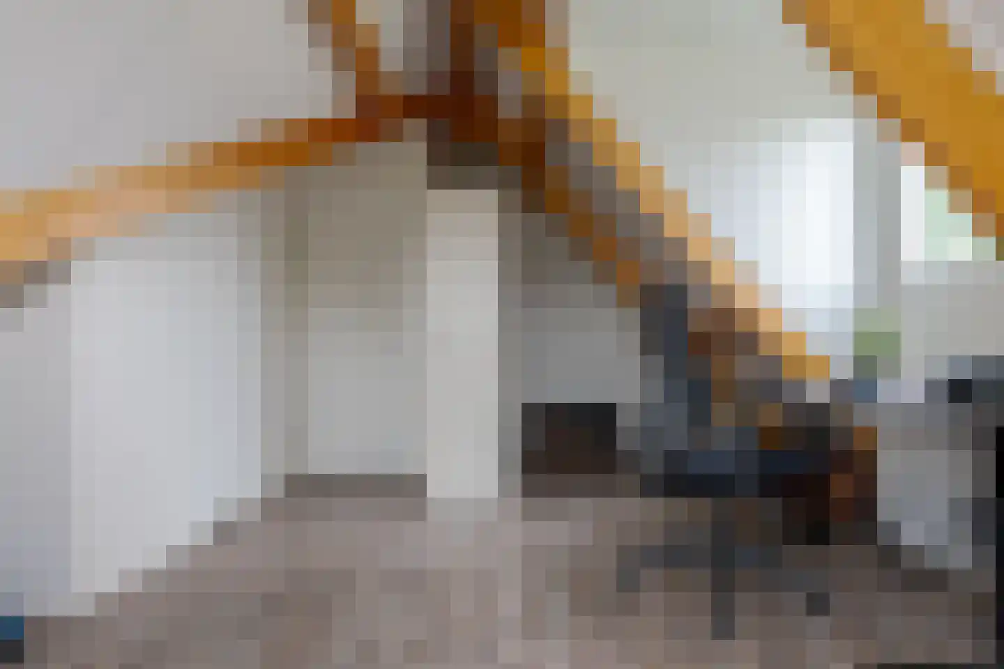 Toutenburgstraat 36 Zwolle thumbnail 45