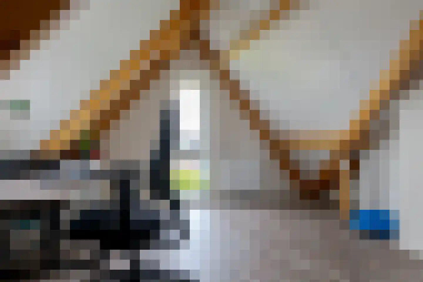 Toutenburgstraat 36 Zwolle thumbnail 46