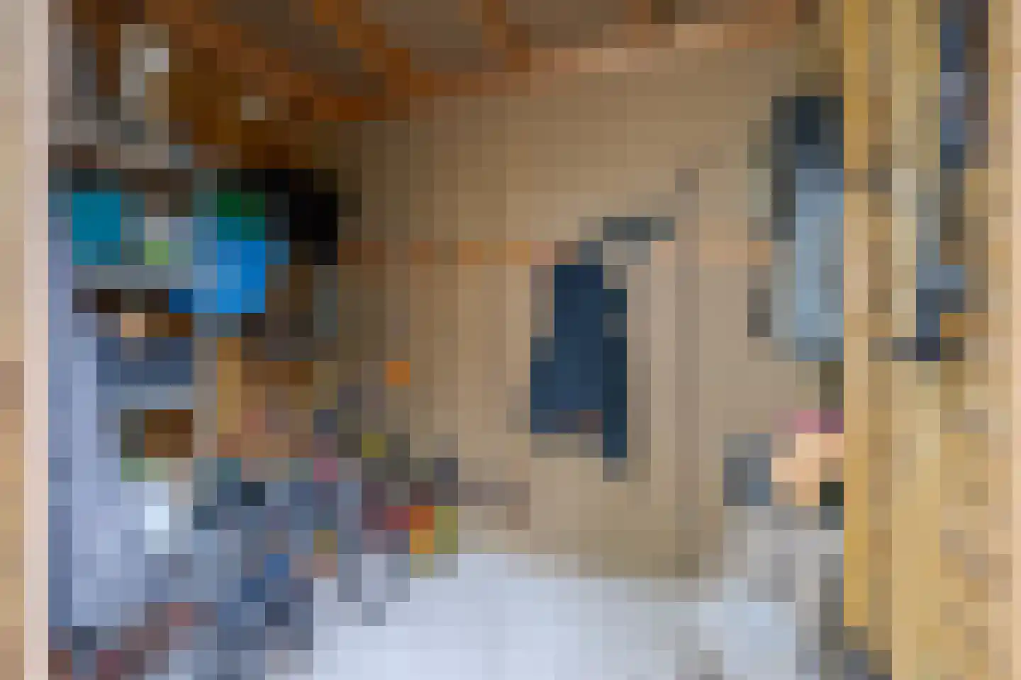 Toutenburgstraat 36 Zwolle thumbnail 53