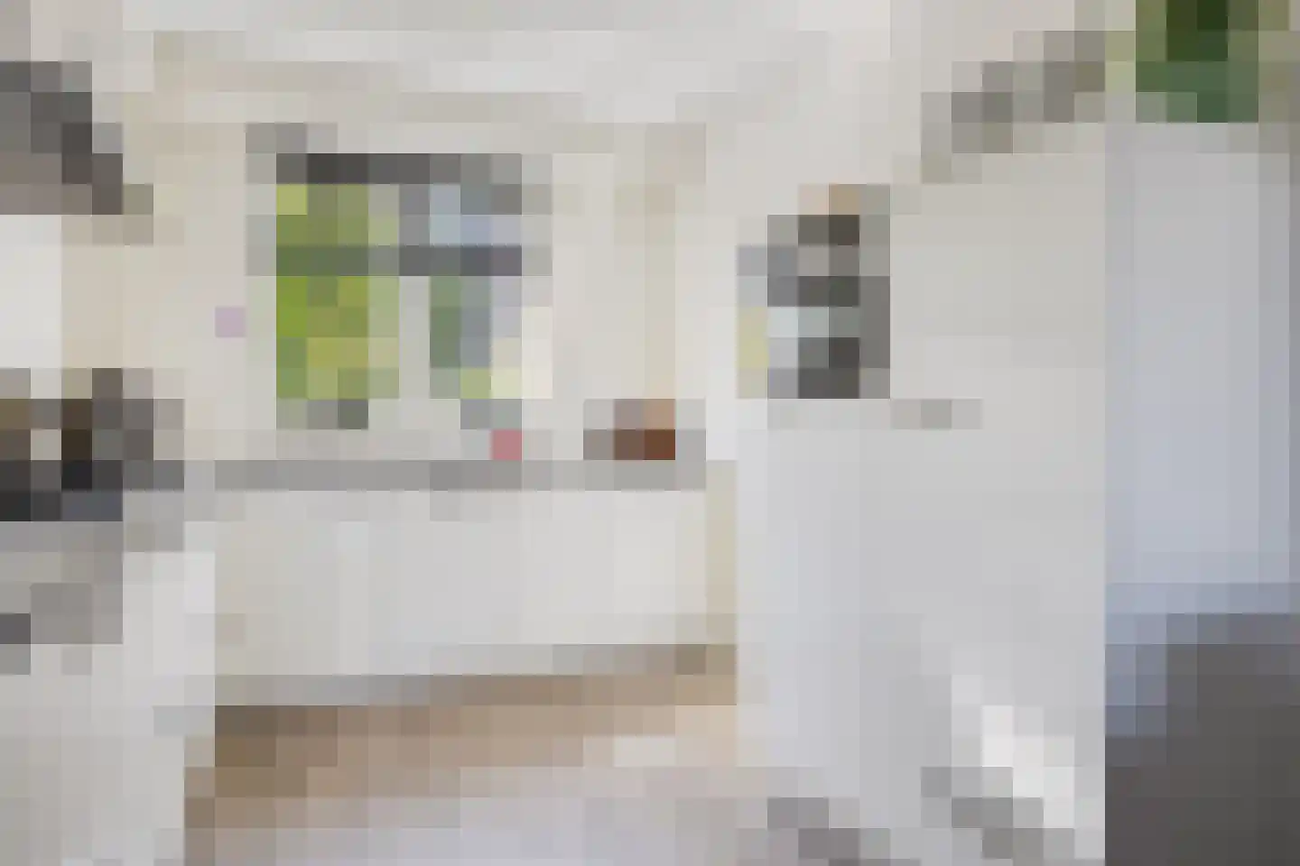 Toutenburgstraat 52 Zwolle thumbnail 11