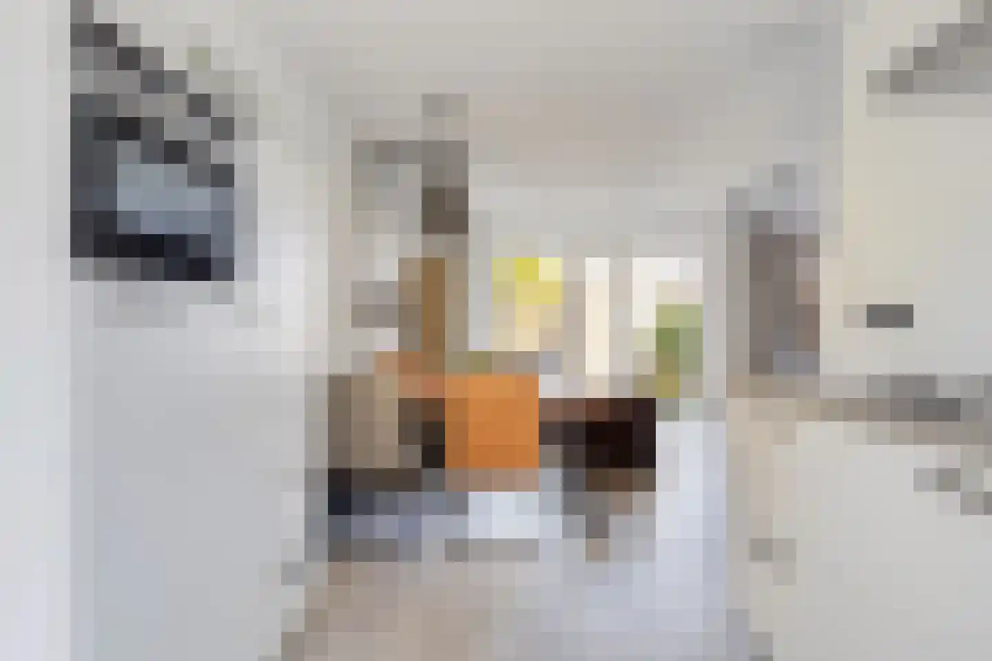 Toutenburgstraat 52 Zwolle thumbnail 12