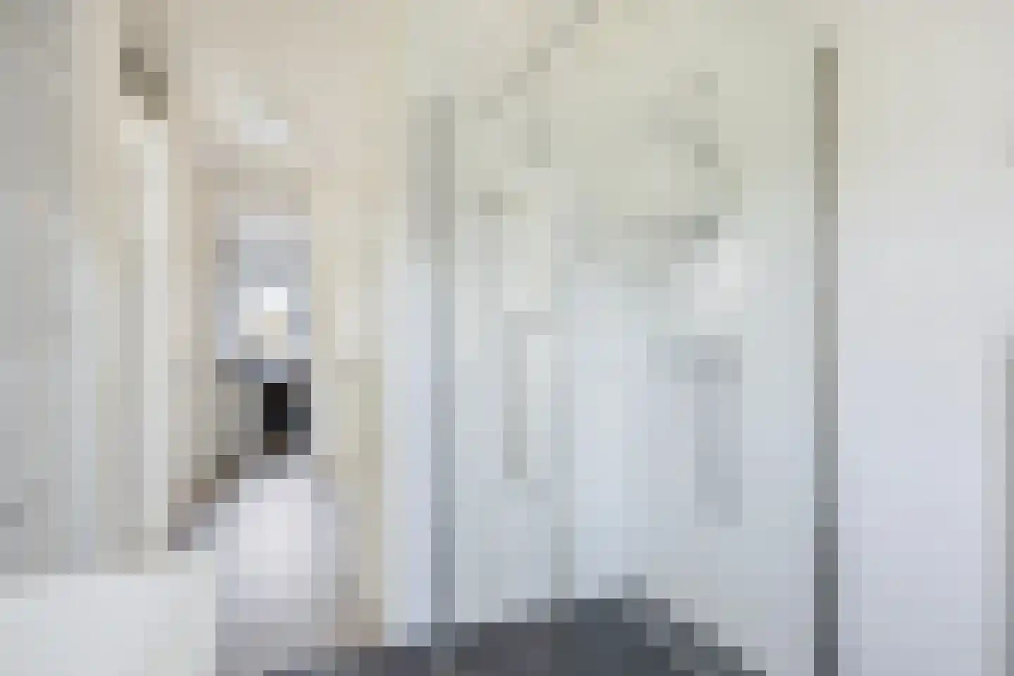 Toutenburgstraat 52 Zwolle thumbnail 21