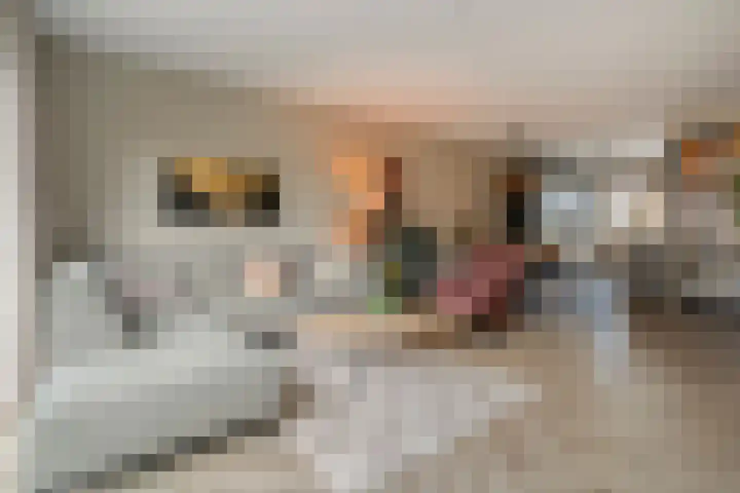 Toutenburgstraat 70 Zwolle thumbnail 18