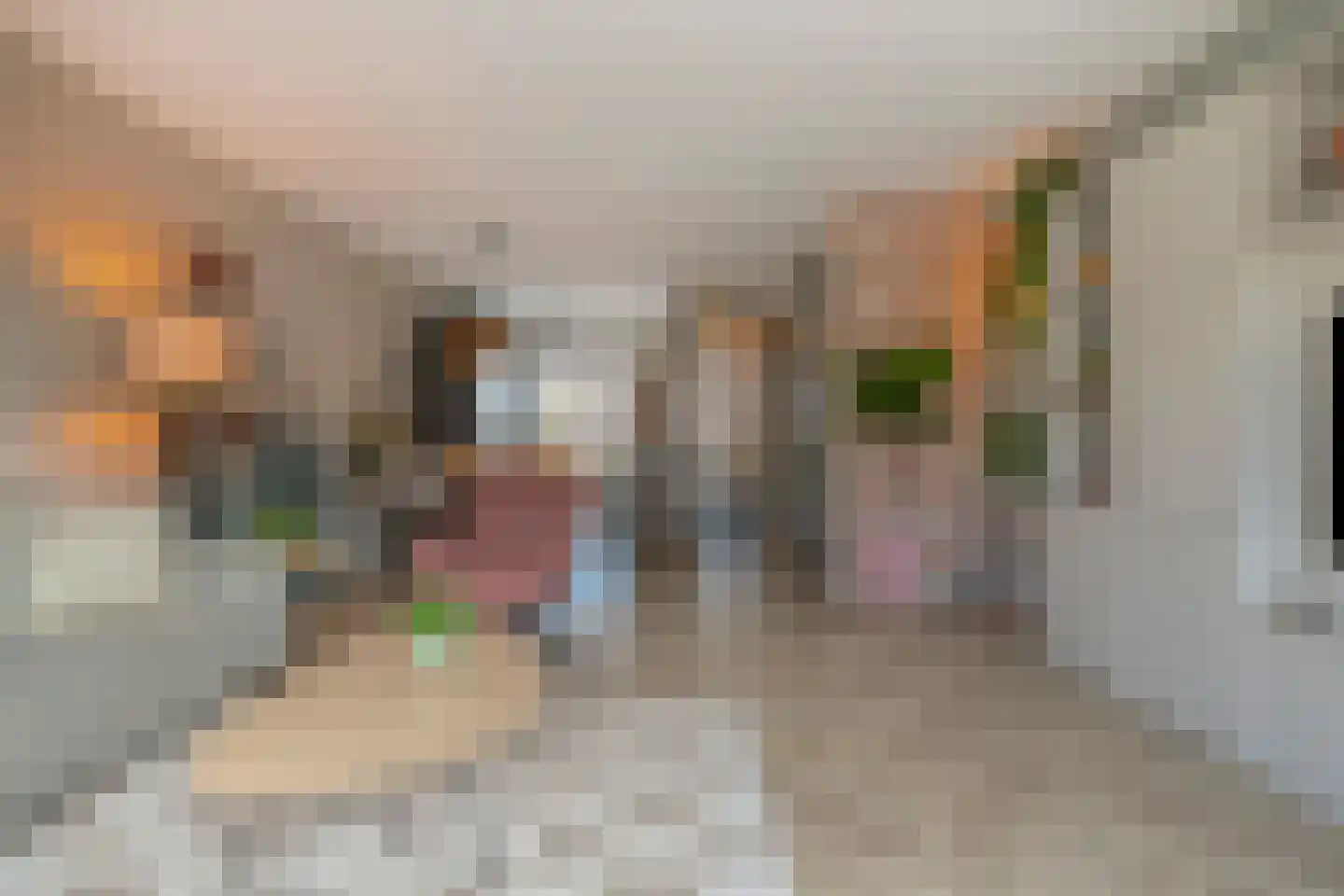 Toutenburgstraat 70 Zwolle thumbnail 19