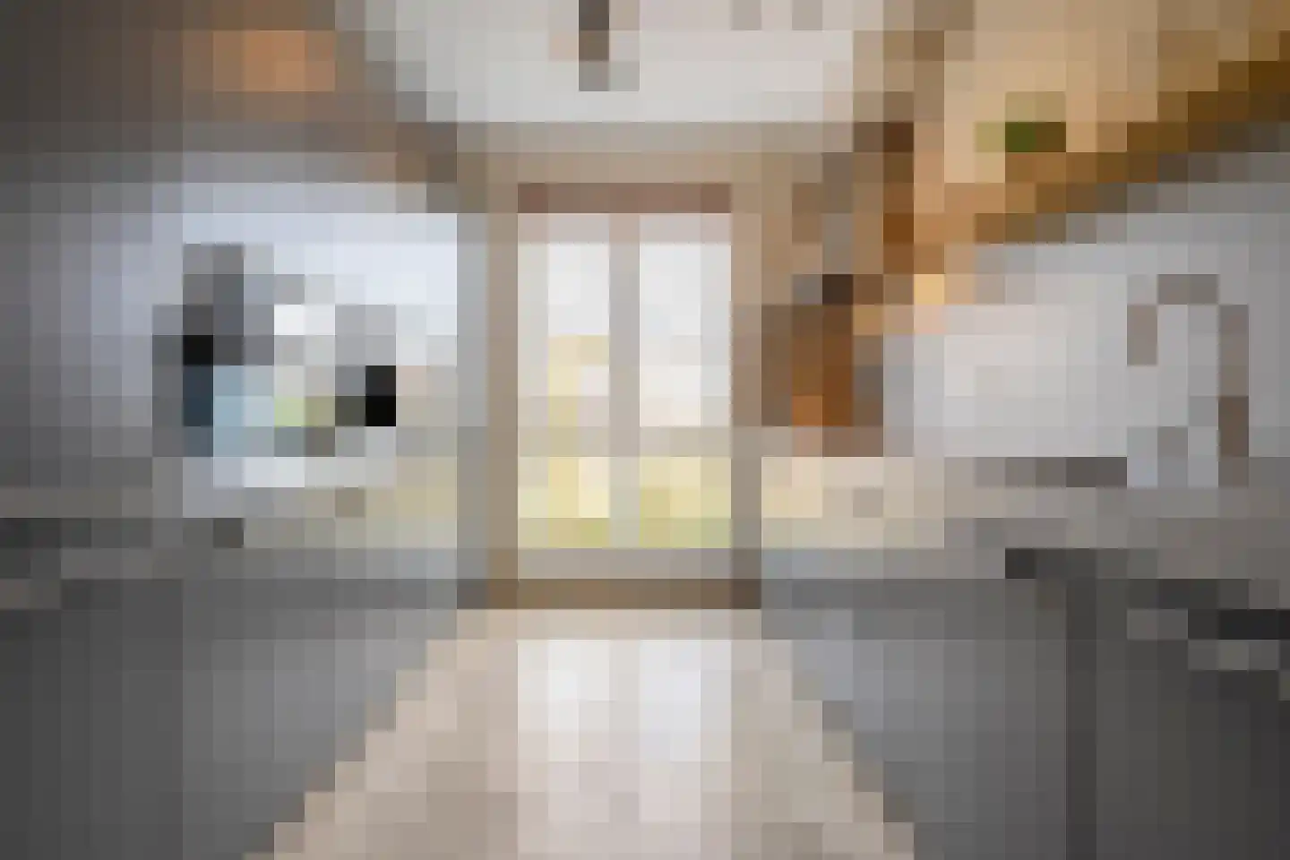 Toutenburgstraat 70 Zwolle thumbnail 24