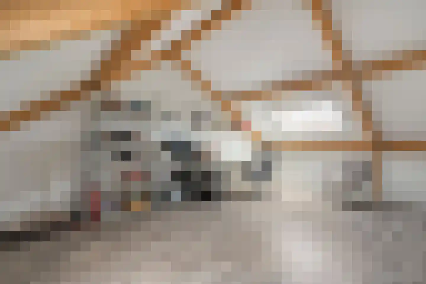 Toutenburgstraat 70 Zwolle thumbnail 39