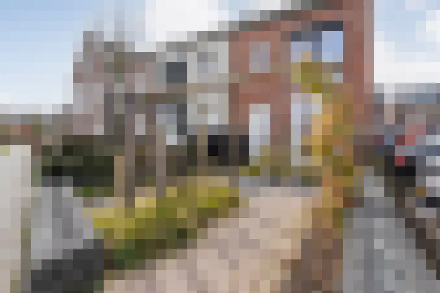 Toutenburgstraat 70 Zwolle thumbnail 8