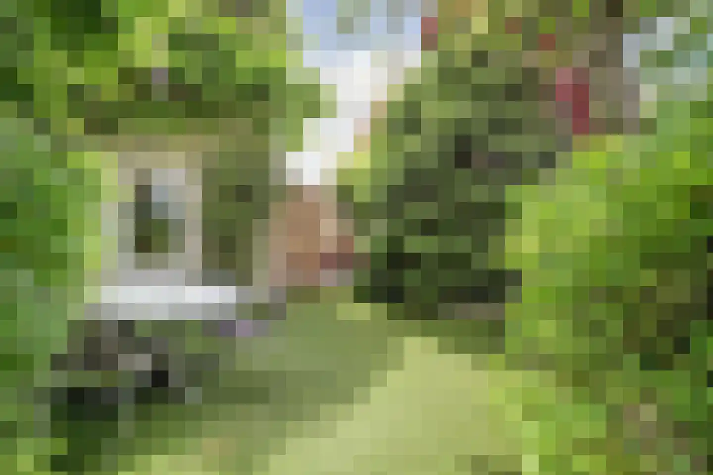 Touwbaan 12 Zierikzee thumbnail 30