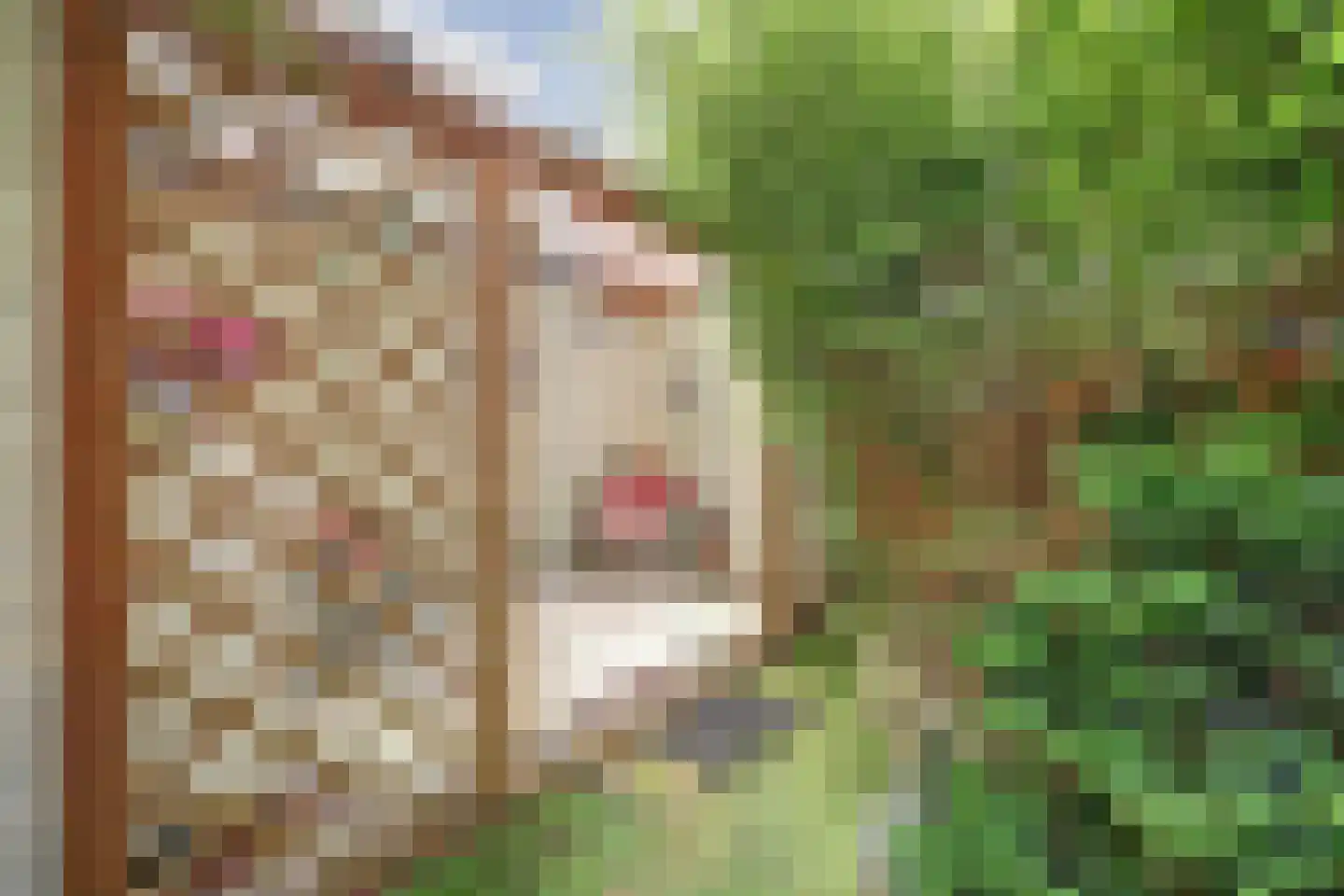 Touwbaan 12 Zierikzee thumbnail 31