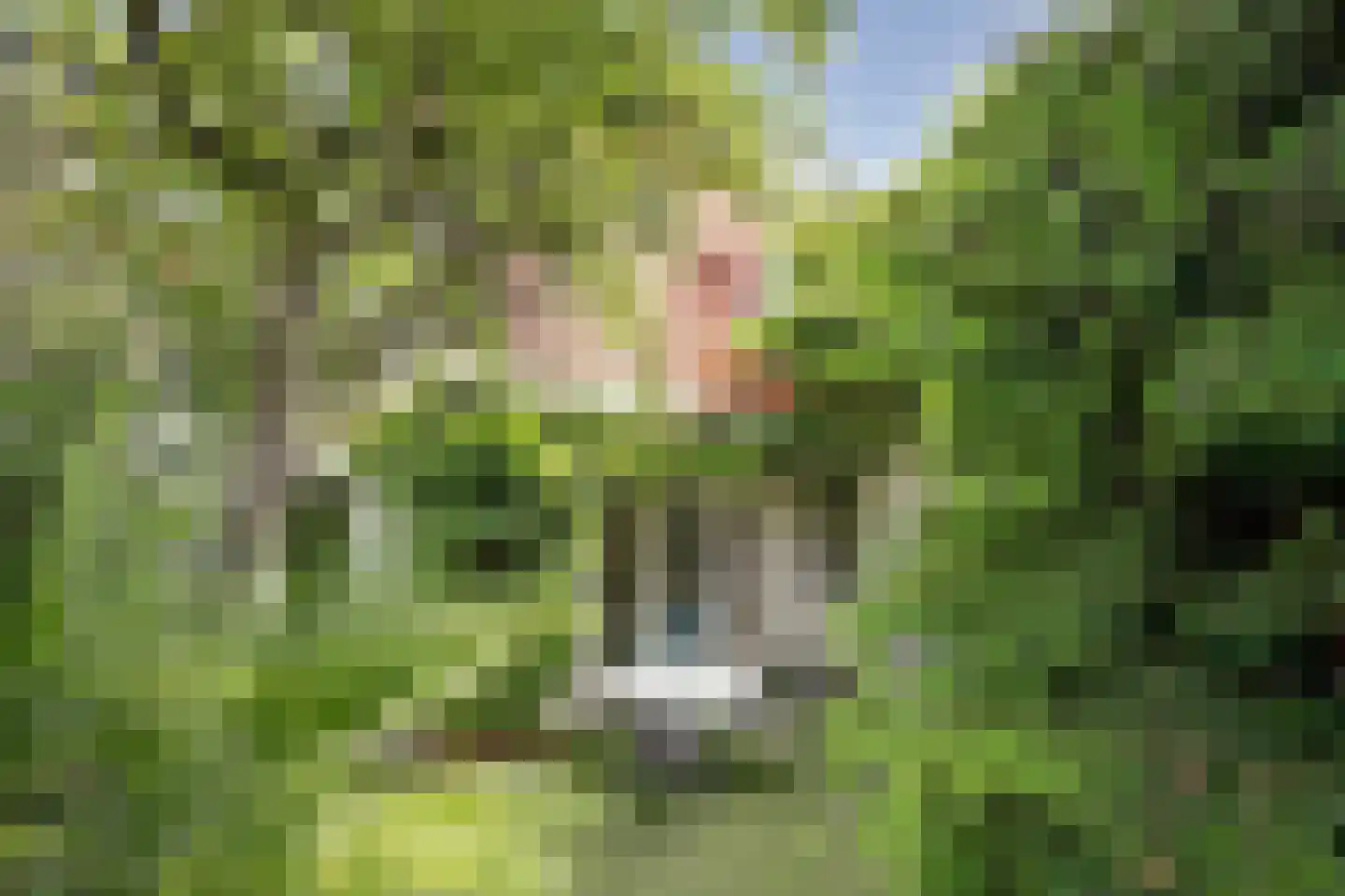 Touwbaan 12 Zierikzee thumbnail 32