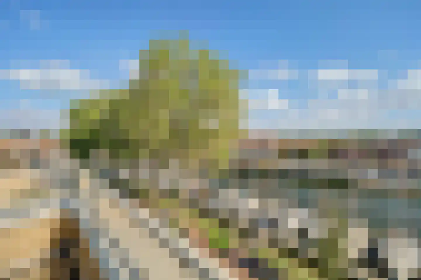 Touwbaan 156 Middelburg thumbnail 6