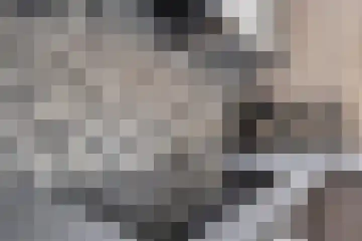 Touwbaan 17 Lekkerkerk thumbnail 14