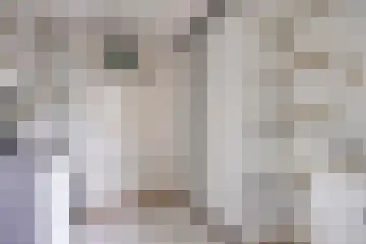 Touwbaan 17 Lekkerkerk thumbnail 17