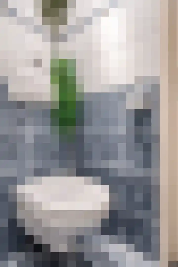 Touwbaan 17 Lekkerkerk thumbnail 23