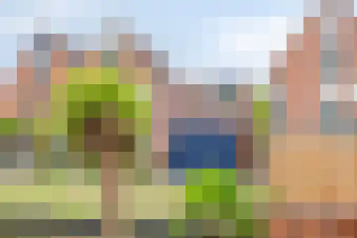 Touwbaan 17 Lekkerkerk thumbnail 33