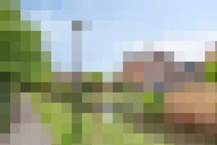 Touwbaan 17 Lekkerkerk thumbnail 34