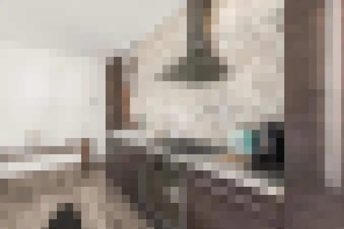 Touwbaan 2 Amsterdam thumbnail 10