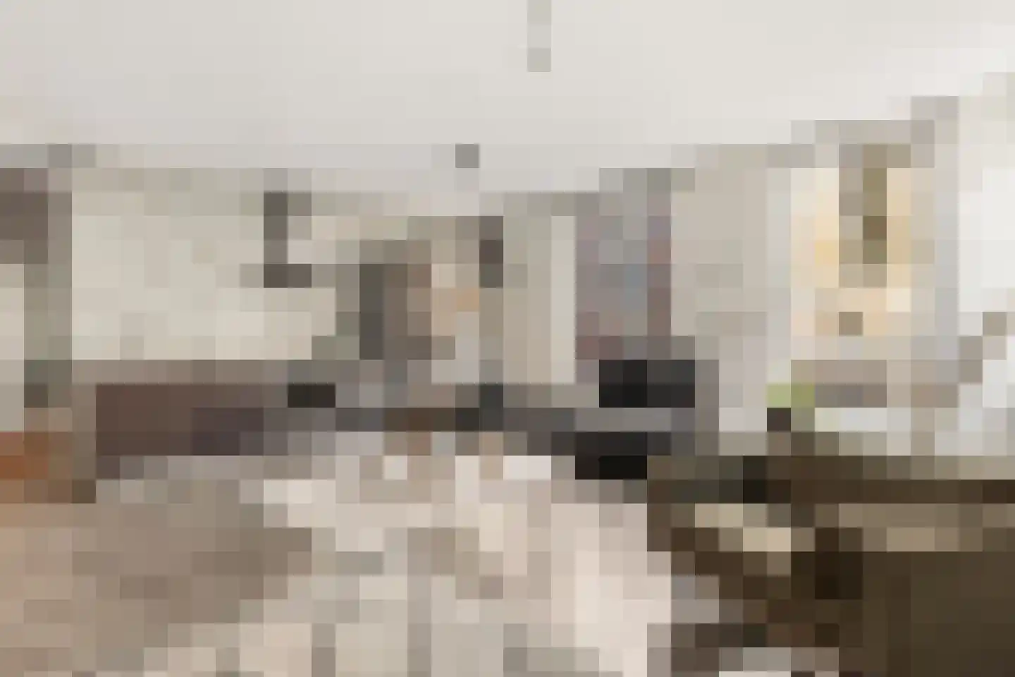Touwbaan 2 Amsterdam thumbnail 4
