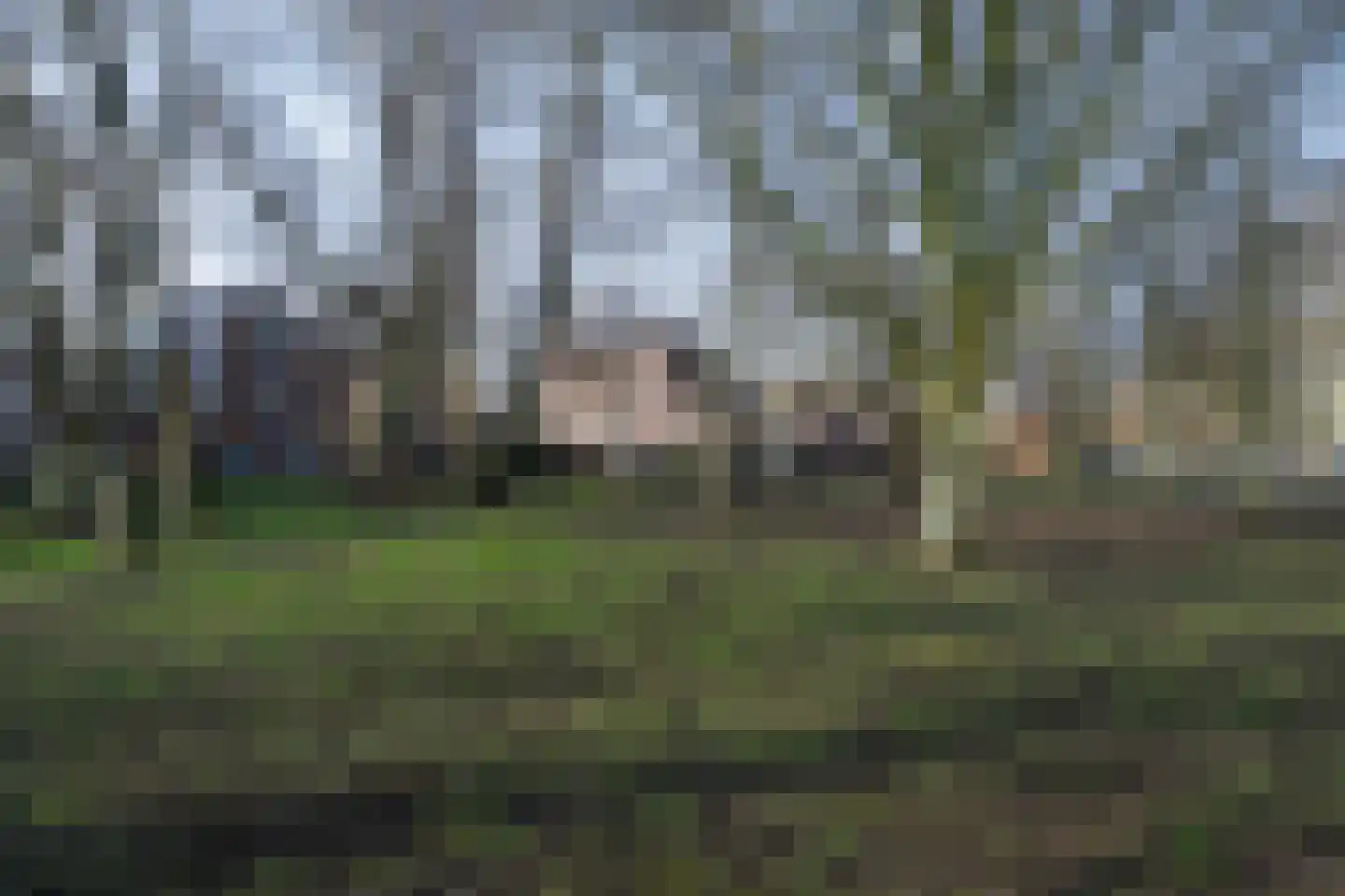 Touwbaan 2 Lekkerkerk thumbnail 21