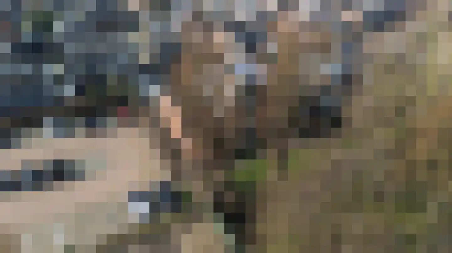 Touwbaan 2 Lekkerkerk thumbnail 23