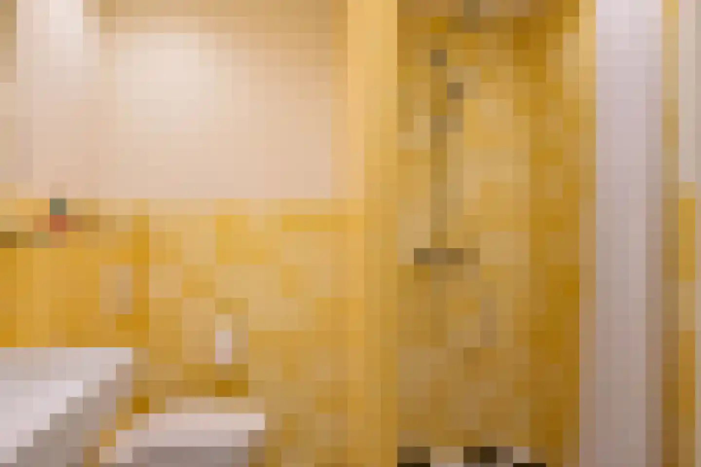 Touwbaan 2 Lekkerkerk thumbnail 5